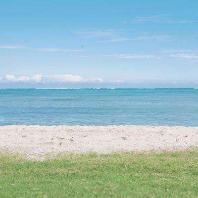 万博手机版max网页版狼队